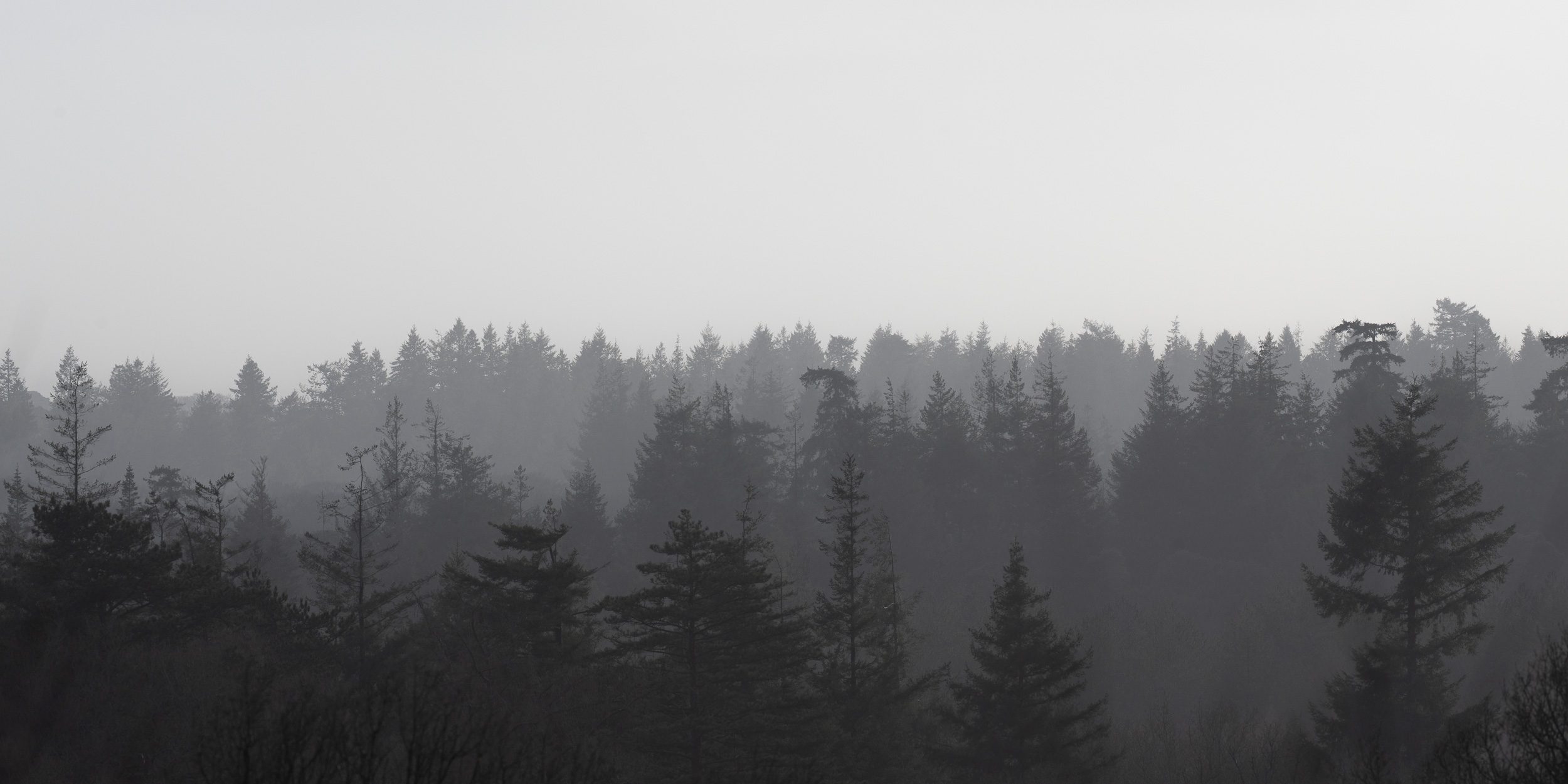 Landscape photograph